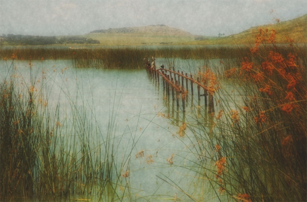 Photograph Sergio Levin Pond on One Eyeland